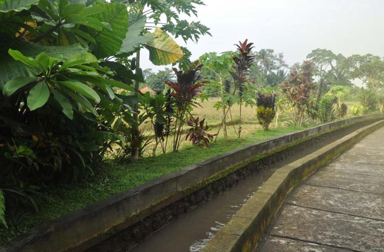 Candra Asri Bungalow Ubud Buitenkant foto